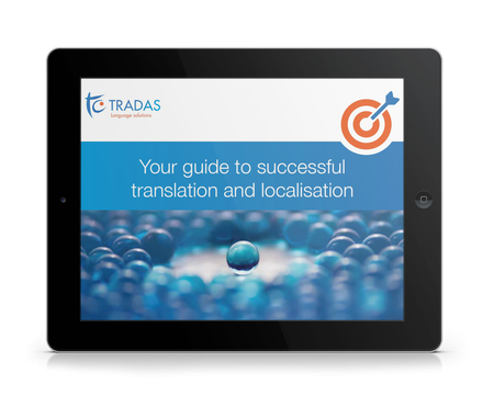 eguide_ipad_image_480x360 translation and localisation guide